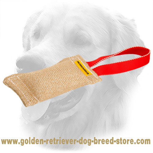 Strong Puppy Jute Golden Retriever Bite Tug