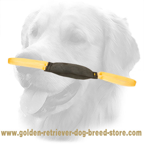 Hard Leather Golden Retriever Bite Tug for Young Dog Training