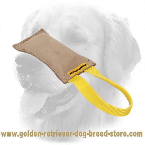 Leather Golden Retriever Bite Tug for Puppy Training