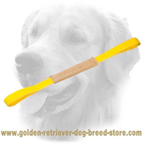 Soft Leather Small Bite Tug with Two Handles