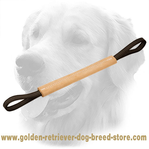 Hard Leather Golden Retriever Bite Tug - Click Image to Close