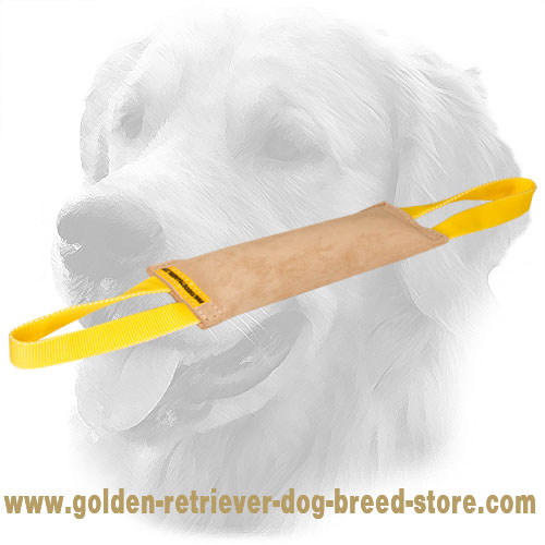 Leather Golden Retriever Bite Tug with Two Handles