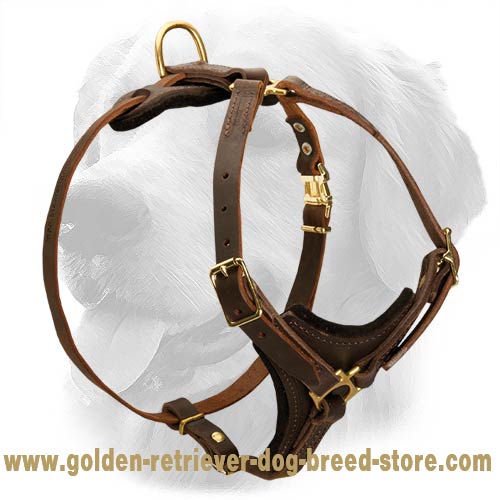 Universal Leather Harness for Tracking and Walking