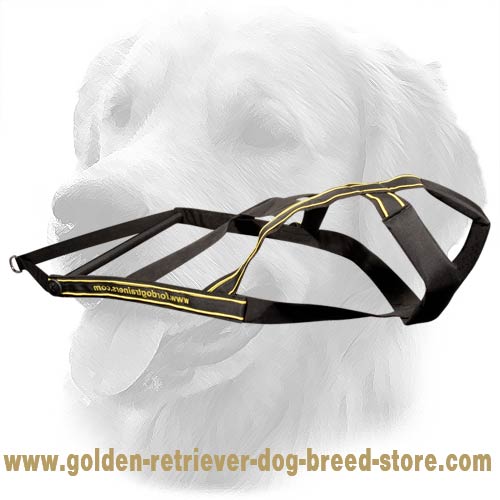 Nylon Harness for Pulling Training