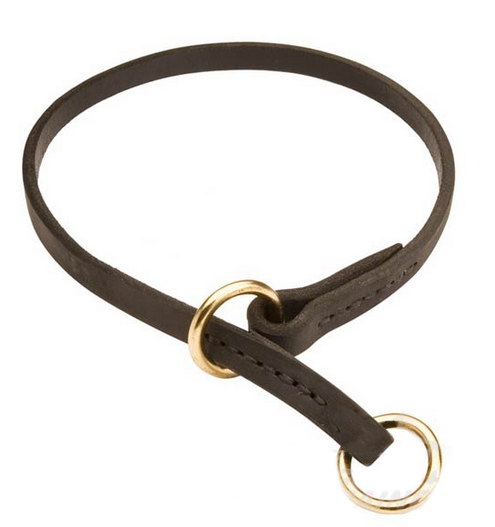 Leather Golden Retriever Choke Collar for Training