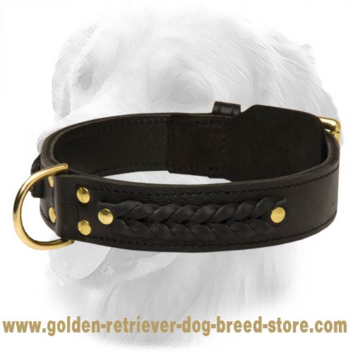 Gorgeous Wide 2 Ply Leather Golden Retriever Collar
