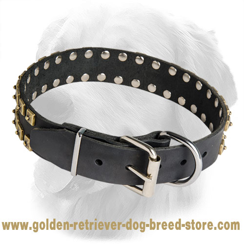 "Caterpillar" Leather Golden Retriever Collar with Brass Dotted Studs