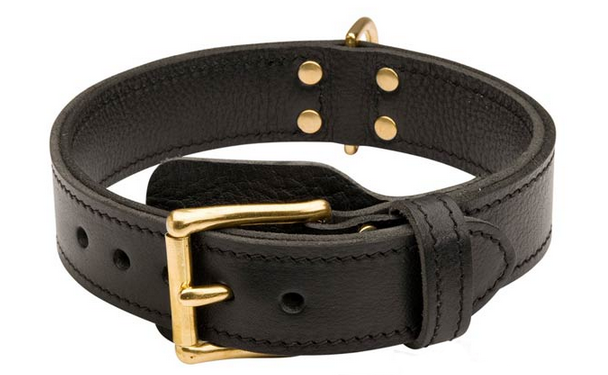 Leather Golden Retriever Collar for Protection Training