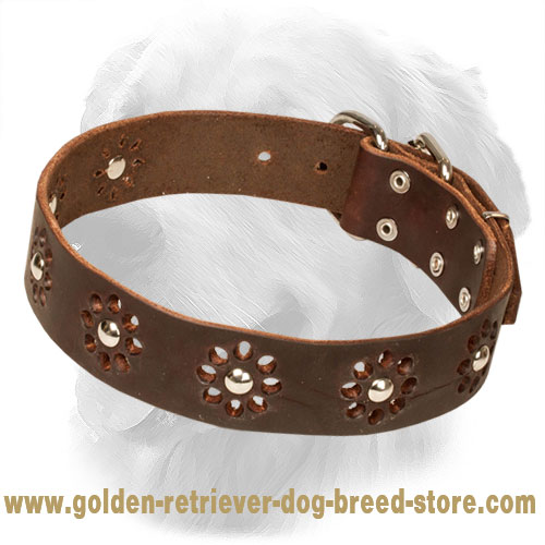 Designer leather dog best sale harness