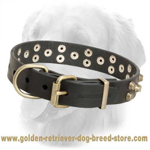 Stylish "Galaxy Trip" Leather Golden Retriever Collar with Studs