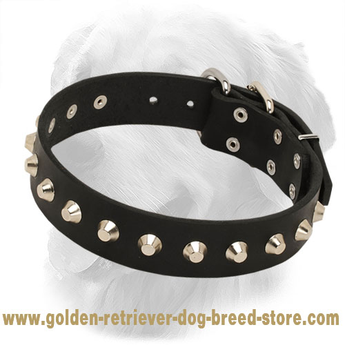 Elegant Leather Golden Retriever Collar with Nickel Pyramids