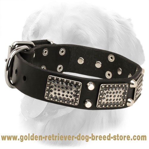 Leather Golden Retriever Collar with Nickel Plates and Cones
