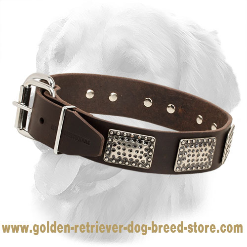 Gladiator Leather Golden Retriever Collar with Vintage Plates