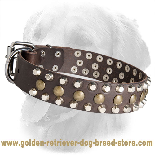 Best dog collar golden sales retriever
