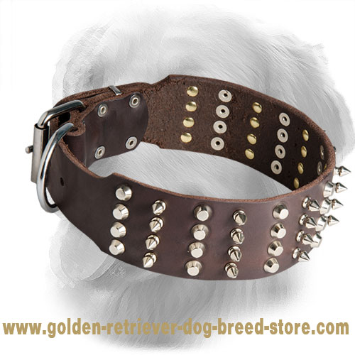 Leather Golden Retriever Collar with Spikes and Studs S90 1046 4 Rows nickel spikes and half pyramids 2 inch Golden Retriever harness Golden Retriever muzzle Golden Retriever collar dog leash Dog leas...