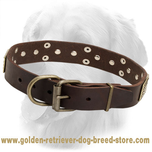 Leather Golden Retriever Collar with Nickel Pyramids and Vintage Plates