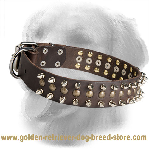 Leather Golden Retriever Collar with Spikes and Half-Ball Studs