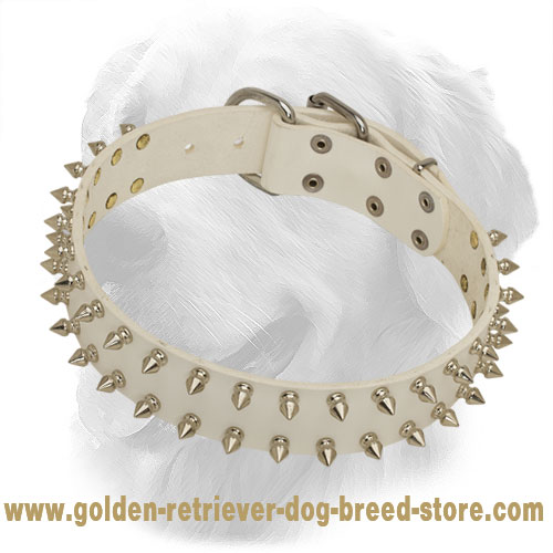 gold spiked collar