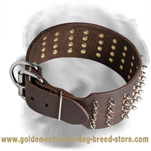 3 Inch Leather Golden Retriever Collar with 5 Rows of Spikes