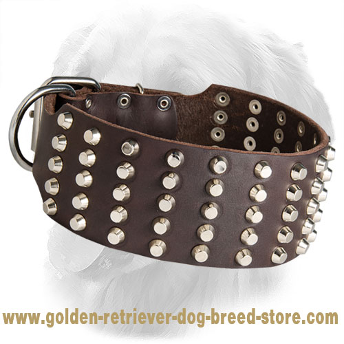 Extra Wide Studded Leather Golden Retriever Collar