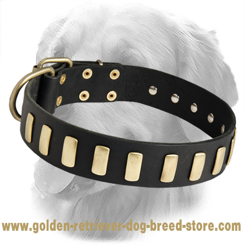 Fantastic Designer Leather Collar with 33 Plates