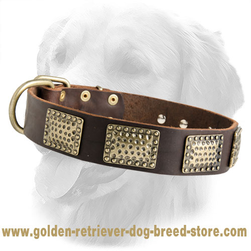 War Design Leather Collar with Massive Brass Plates