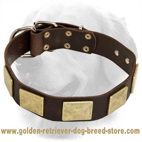 Handcrafted Leather Dog Collar With Vintage Massive Plates