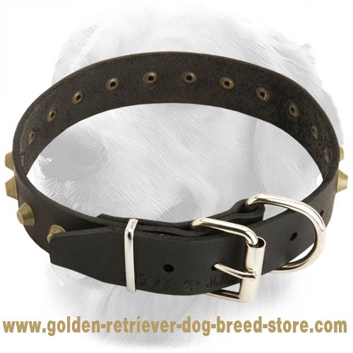 Golden Retriever Gorgeous Leather Collar with Brass Pyramids