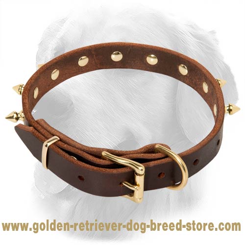 Golden Retriever Multipurpose Spiked Leather Collar