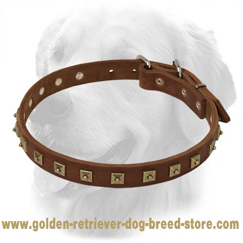 Gorgeous Decorated Leather Collar - Click Image to Close