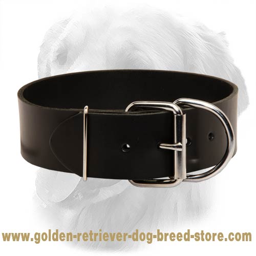 Leather Collar 50 mm for Walking and Training