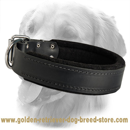 Golden Retriever Extra Comfy Padded Leather Collar