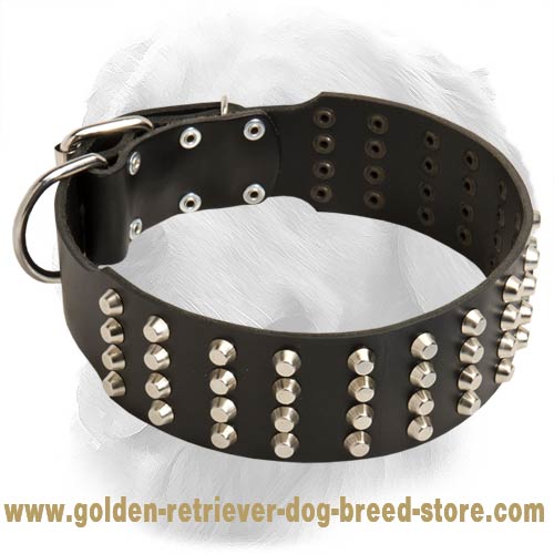 Perfect Leather Collar with Nickel Pyramids