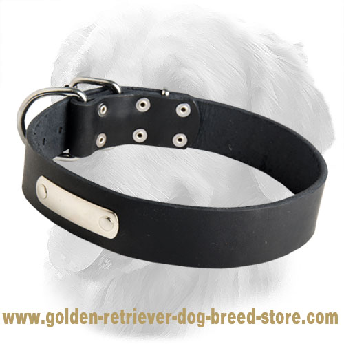 Classical Design Leather Collar with ID Tag - Click Image to Close