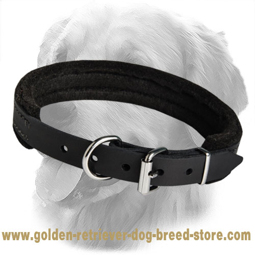 Extra Comfy Padded Leather Collar 25 mm