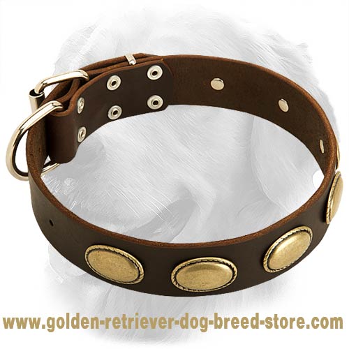 Unique Design Handcrafted Leather Collar with Oval Plates