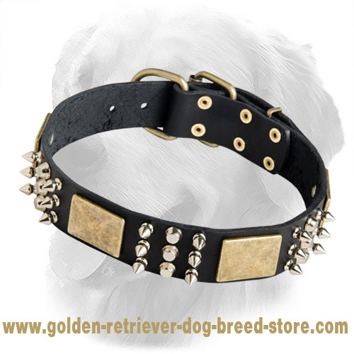 Gladiator Decorated Leather Collar for Golden Retrievers