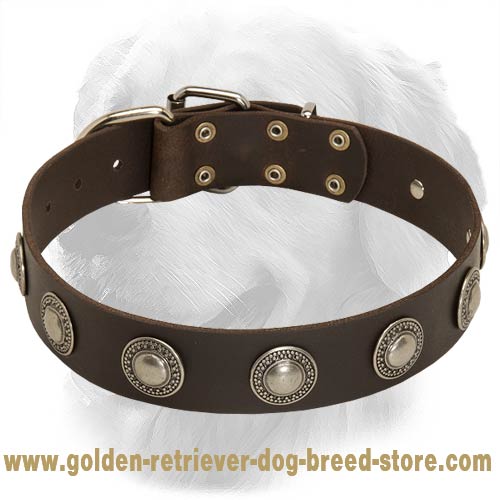Gorgeous Wide Leather Dog Collar With Silver Conchos