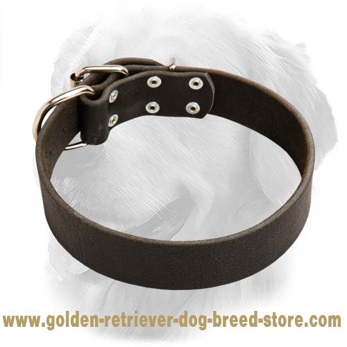 Elegant Design Leather Collar 40 mm - Click Image to Close