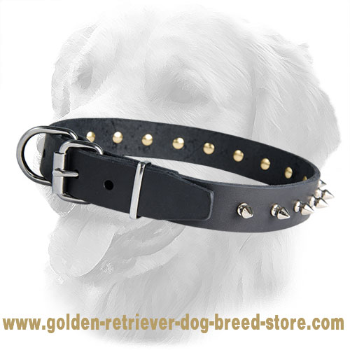 30 mm Spiked Leather Golden Retriever Collar
