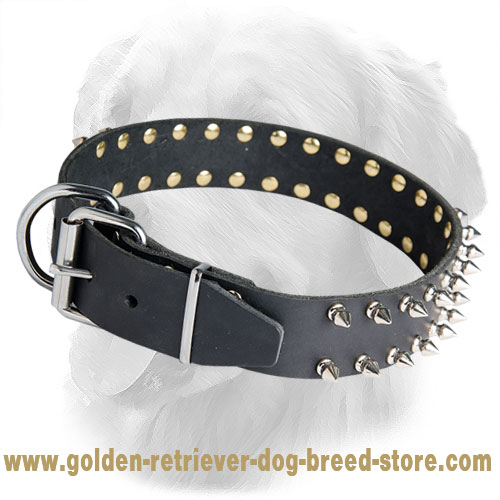 Golden Retriever Leather Collar Spikes 40 mm