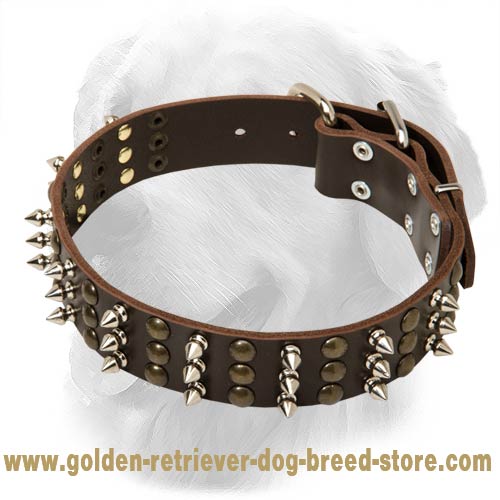 Golden Retriever Leather Collar Spikes Studs