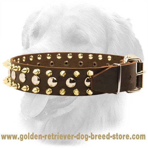 Exclusive Leather Collar with Nickel Studs and Brass Spikes