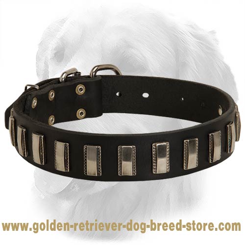 Vintage Design Leather Collar with Nickel Plates