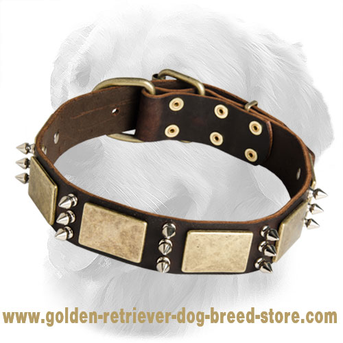Exclusive Gladiator Design Leather Collar with Brass Plates and Nickel Spikes