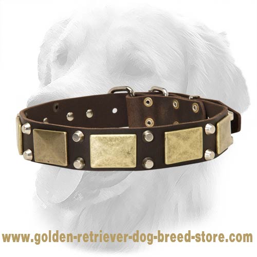 Gladiator Wide Leather Collar 40 mm