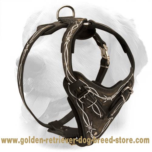 Stylish Leather Golden Retriever Harness with Barbed Wire Drawing