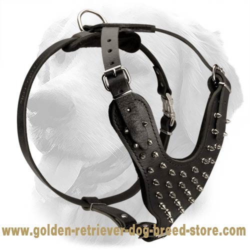 Stunning Fashionable Spiked Leather Collar