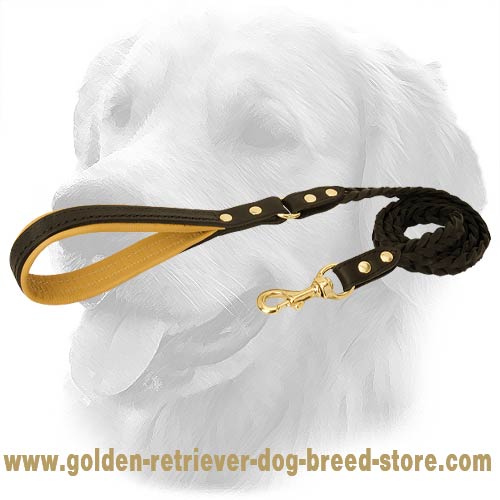Golden Retriever Leather Leash Braided 20 mm