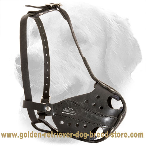 Golden Retriever Police Service Leather Muzzle